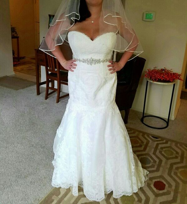 My dress is in!!!
