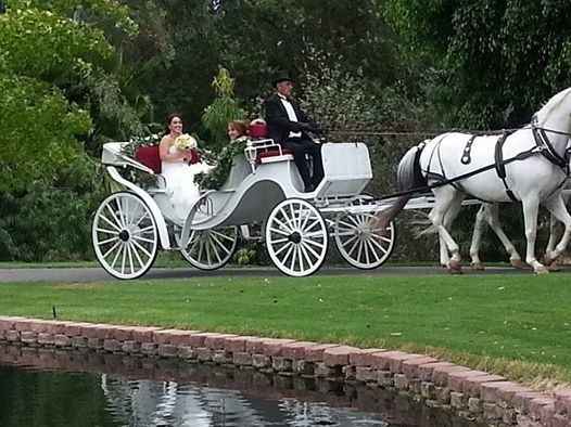 BAM! I'm a wife! (pics included)