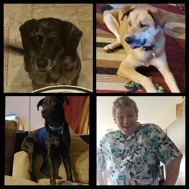 Show me your fiance and pet - 1
