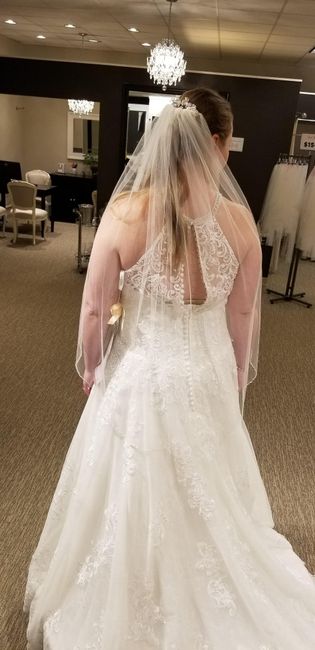 Backs