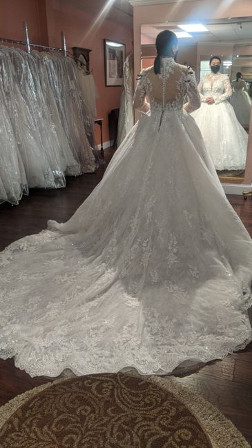 Said yes to the dress, can't stop thinking about it - 2