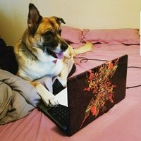 NWR: My pup thinks she's people. She's right. Show me your "people pups!"