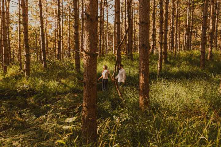 Engagement pictures came in! - 8