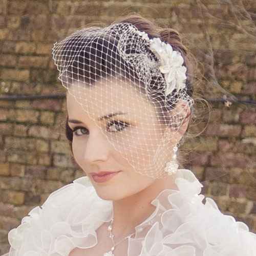 Birdcage veil