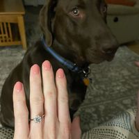 2024 Brides - Show us your ring! - 1