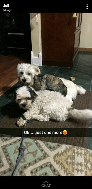 NWR: Show me your fur babies
