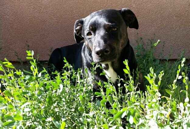 It's Fursday! Share the love!