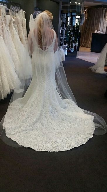 Veil Opinions? Show me your veils!