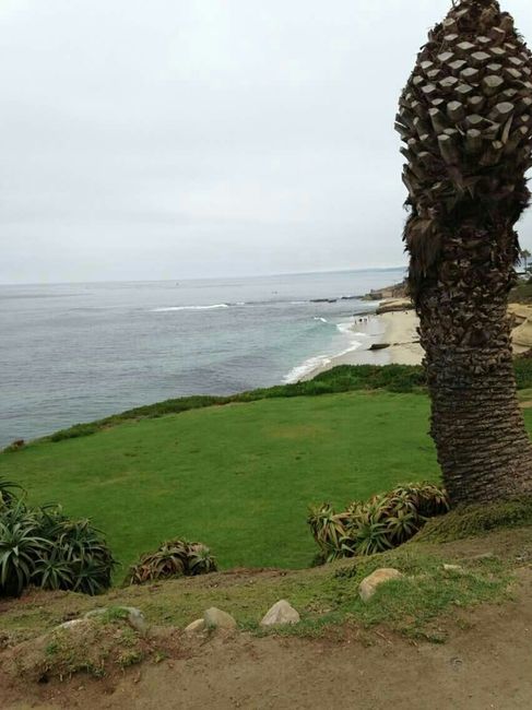 DW in San Diego
