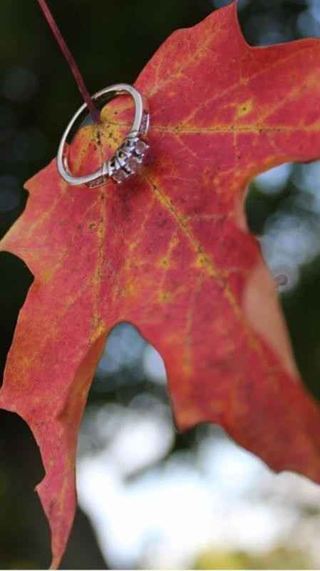E-rings ~ show them off!