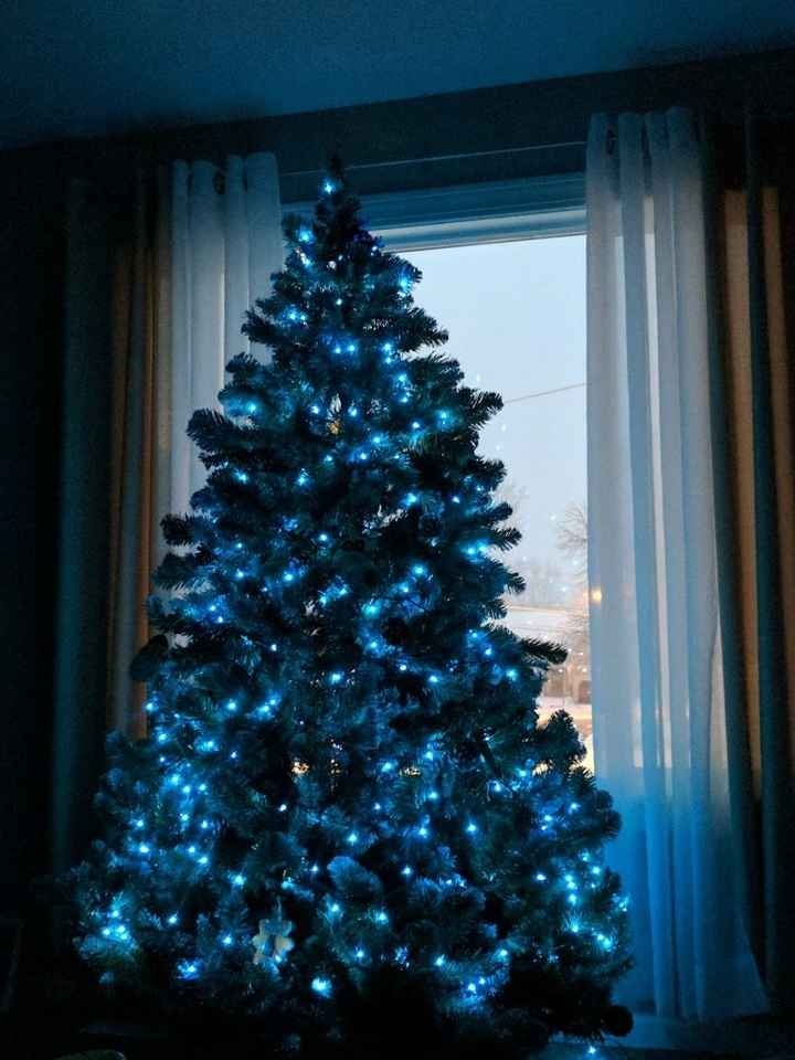 NWR: Christmas Tree