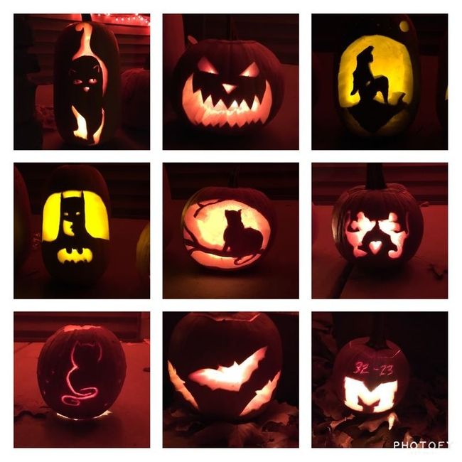 NWR: Cannon wants to share his pumpkin!
