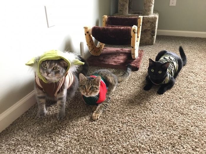 NWR Show us your Halloween Pets!