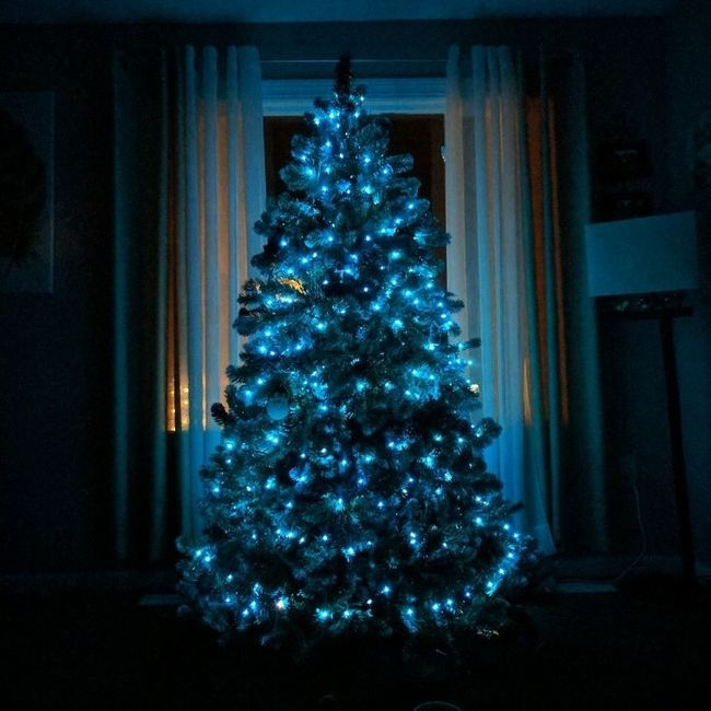 NWR-show me your Xmas trees