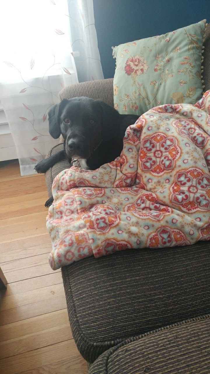 NWR: Show me your pups!