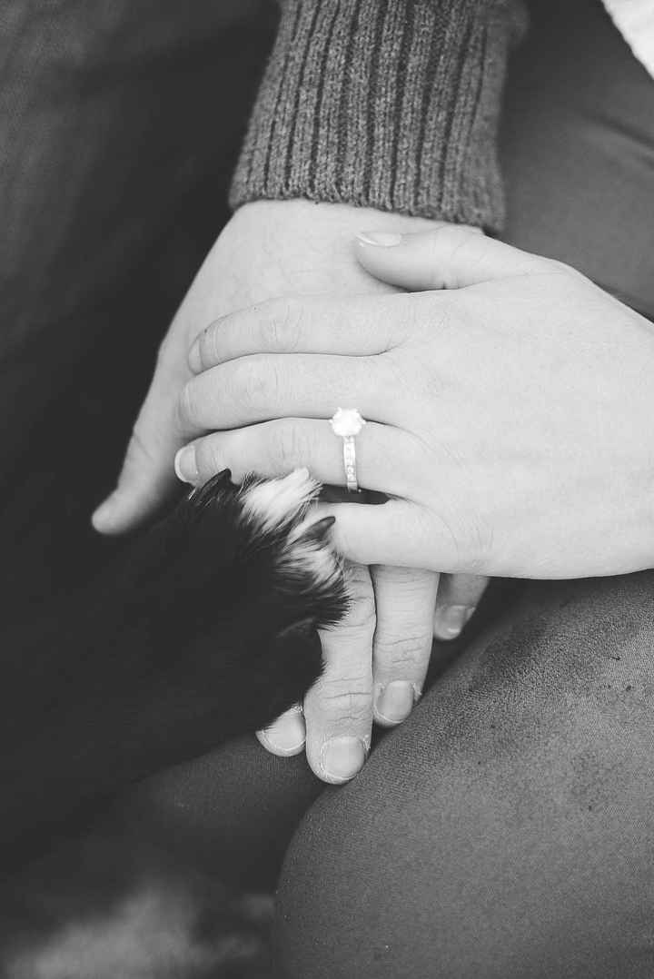 Having your pet in the engagement photos?