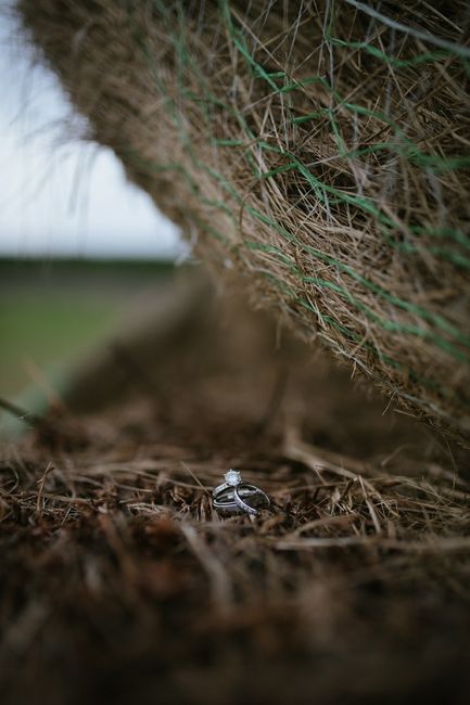BAM! Farm Wedding!  PRO Sneak Peak & Non Pro!