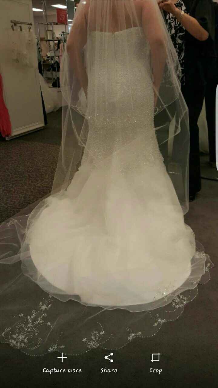 Let's see everyone's dresses