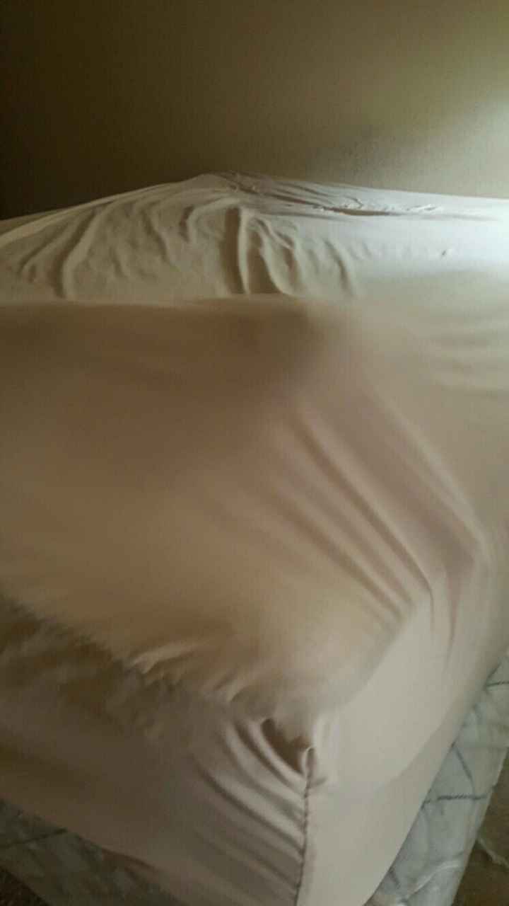 NWR: it's my dogs birthday!