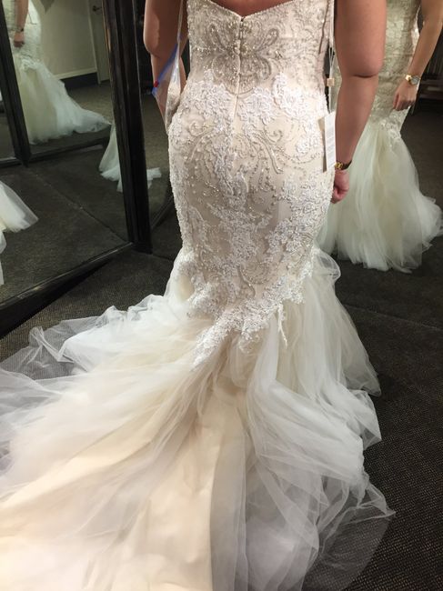 How many dresses - 1