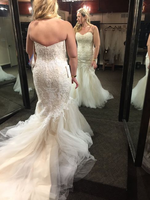 Lets See Your Dress Rejects! - 8
