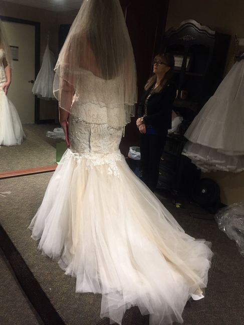 Said yes to the dress at Wolsfelts!! - 3