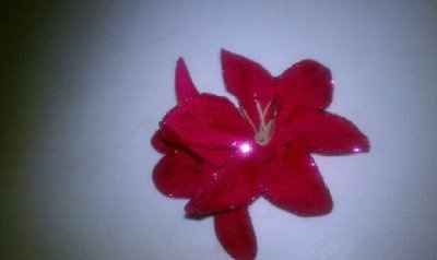 Flower hair combs...where did you get yours?  Pics Please