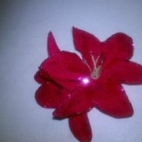 Flower hair combs...where did you get yours?  Pics Please