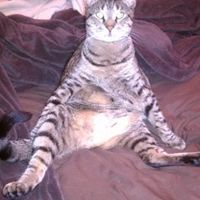 The UNBoring Thread- Completely NWR!