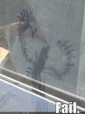 It's funny photo time!