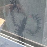 It's funny photo time!