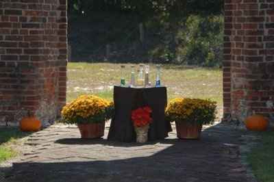 real vs silk flowers