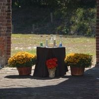 real vs silk flowers