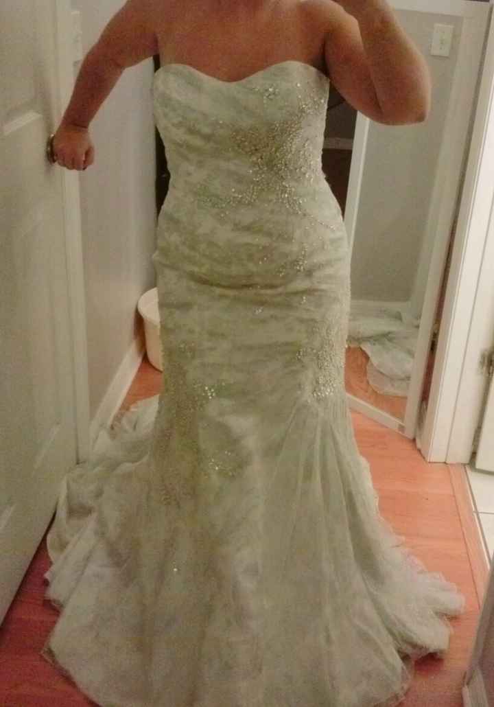 ** updated ** Dress and Brooch Bouquet pics