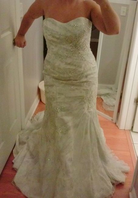 ** updated ** Dress and Brooch Bouquet pics