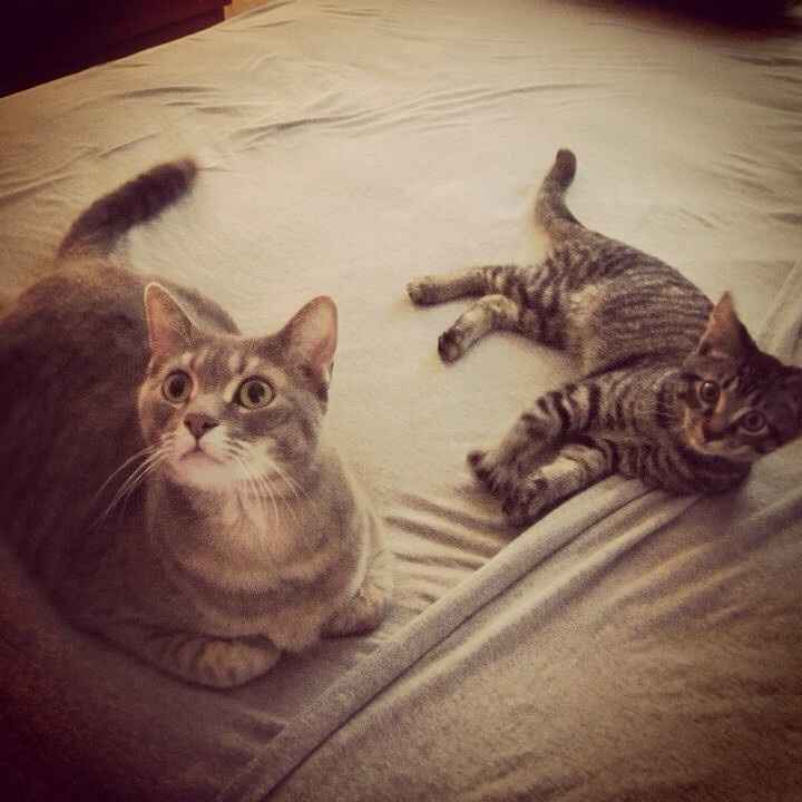 NWR...my fur baby passed and my FH was AMAZINGLY there for me.