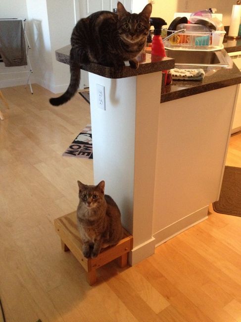 NWR-- IT's A BOY!! :)