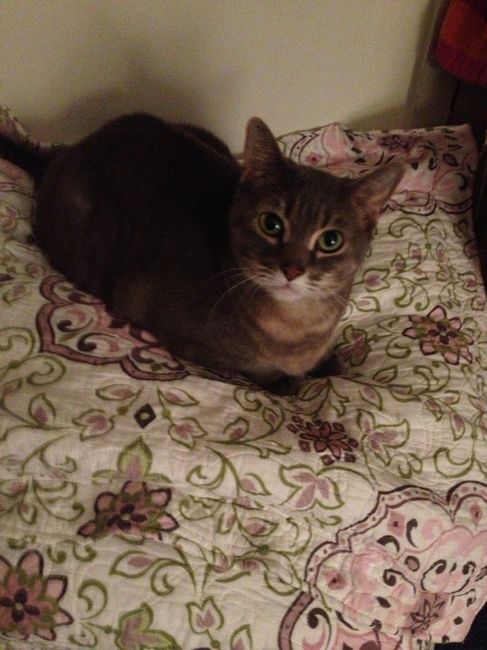 NWR- Furbaby Friday