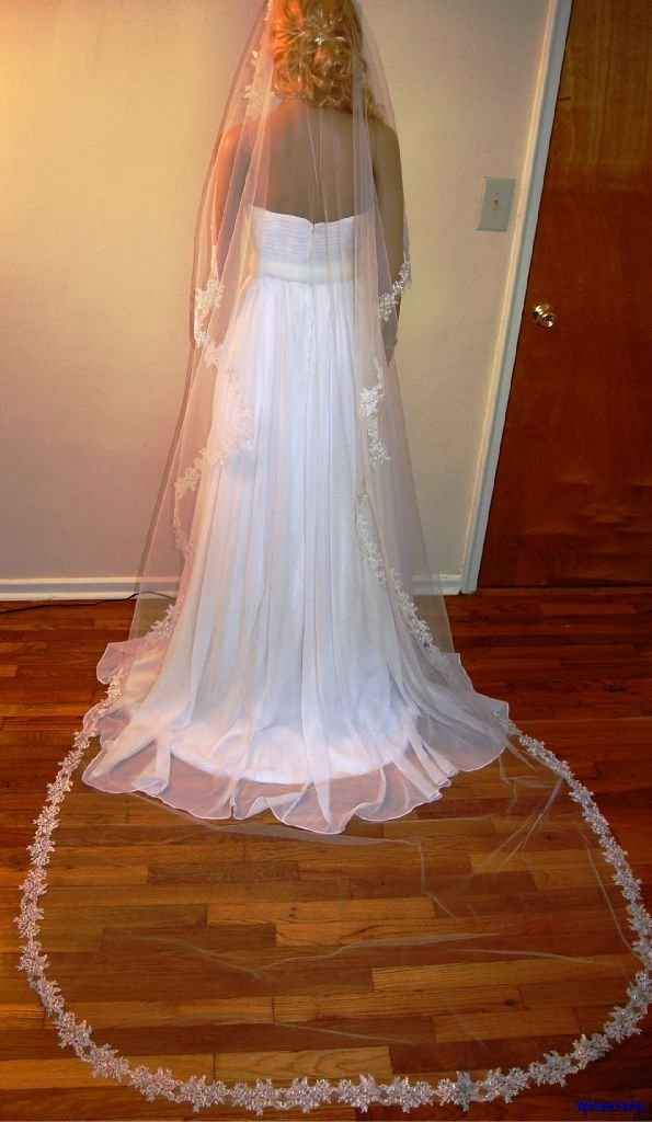 Does this veil match my dress? *Pics*