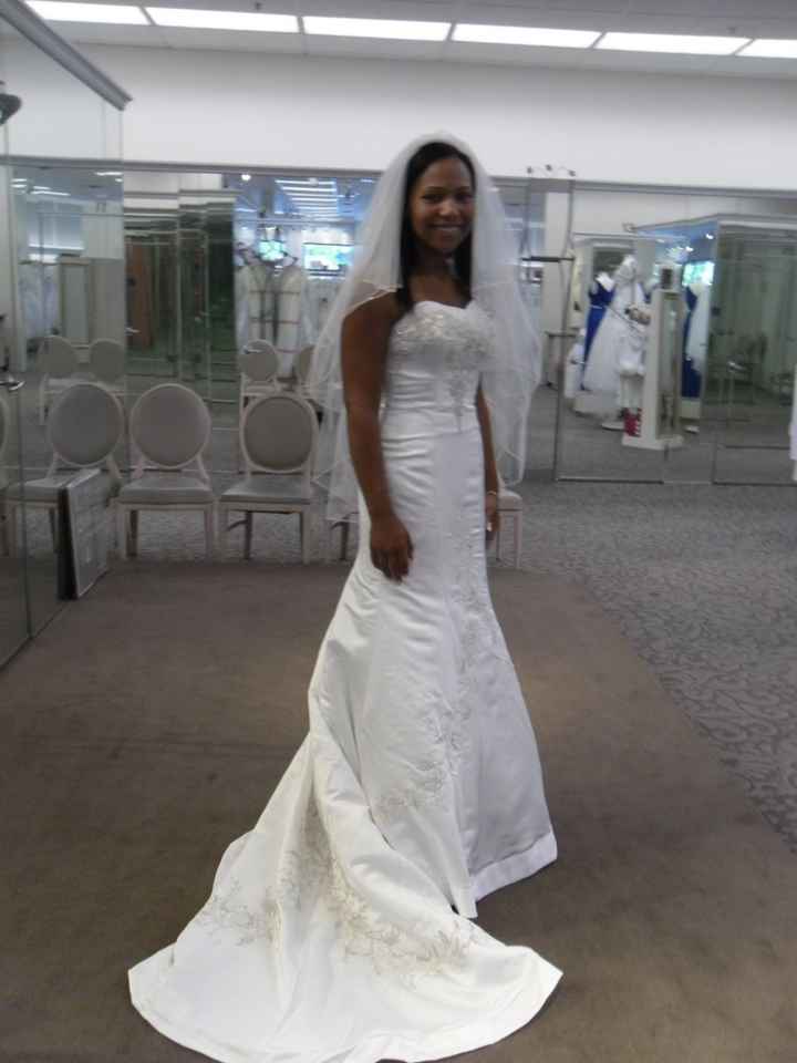 Does this veil match my dress? *Pics*