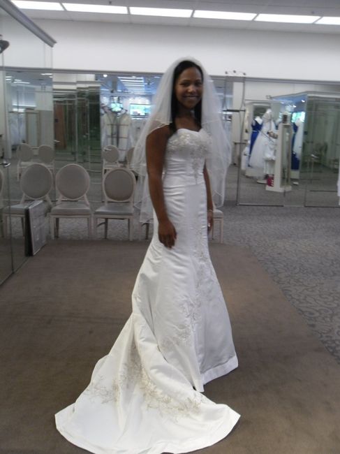 Does this veil match my dress? *Pics*