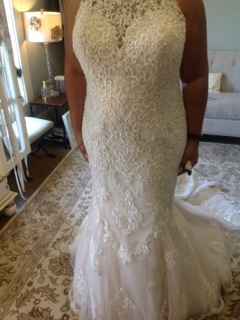 Torn- wedding dress chronicles 2