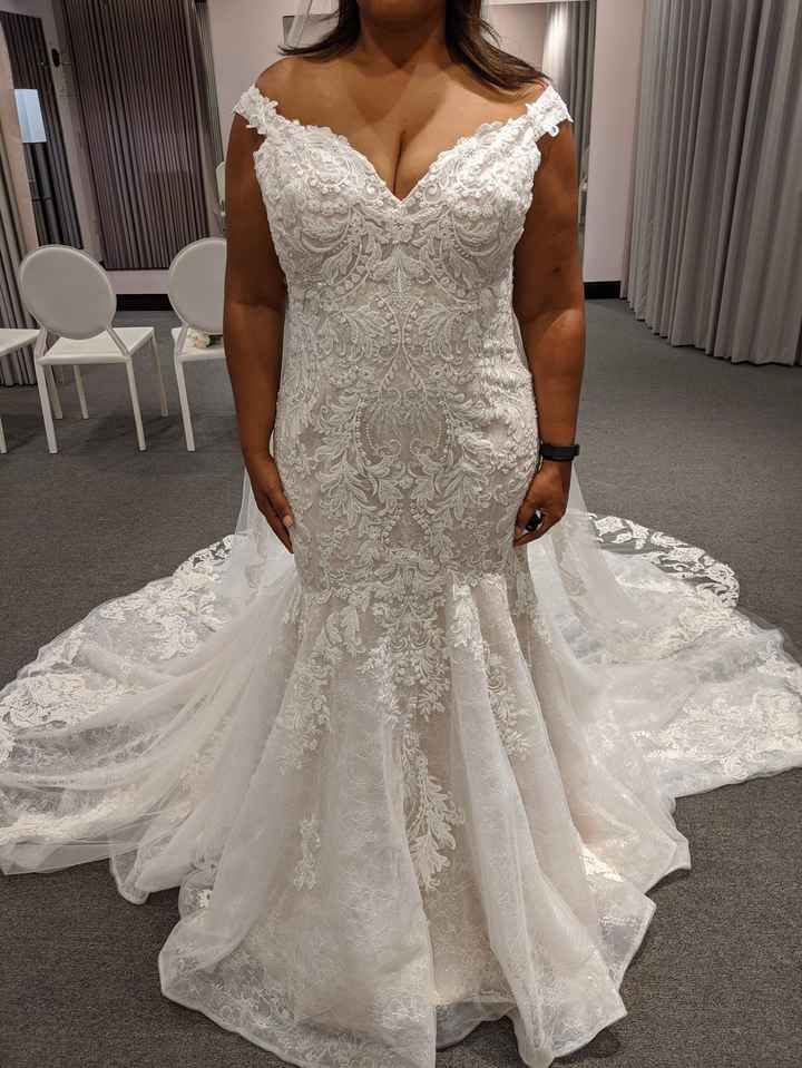 Torn- wedding dress chronicles 3