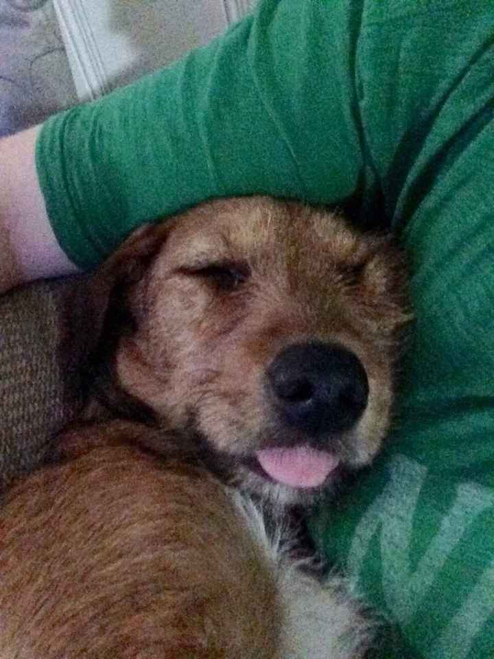 NWR We adopted a new pup!