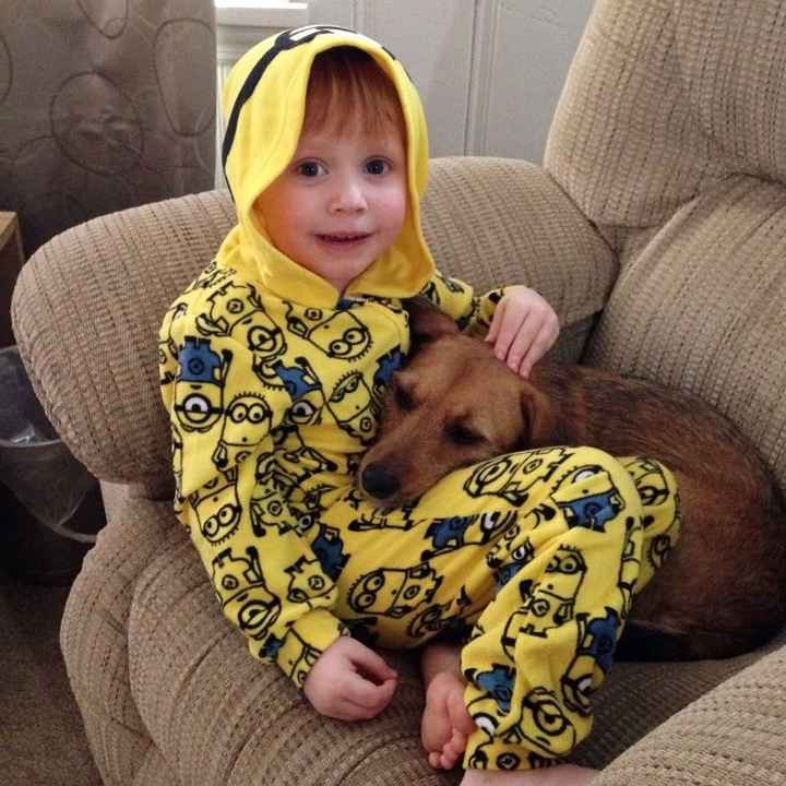 Sick and need cheering up--show me your Fur babies!