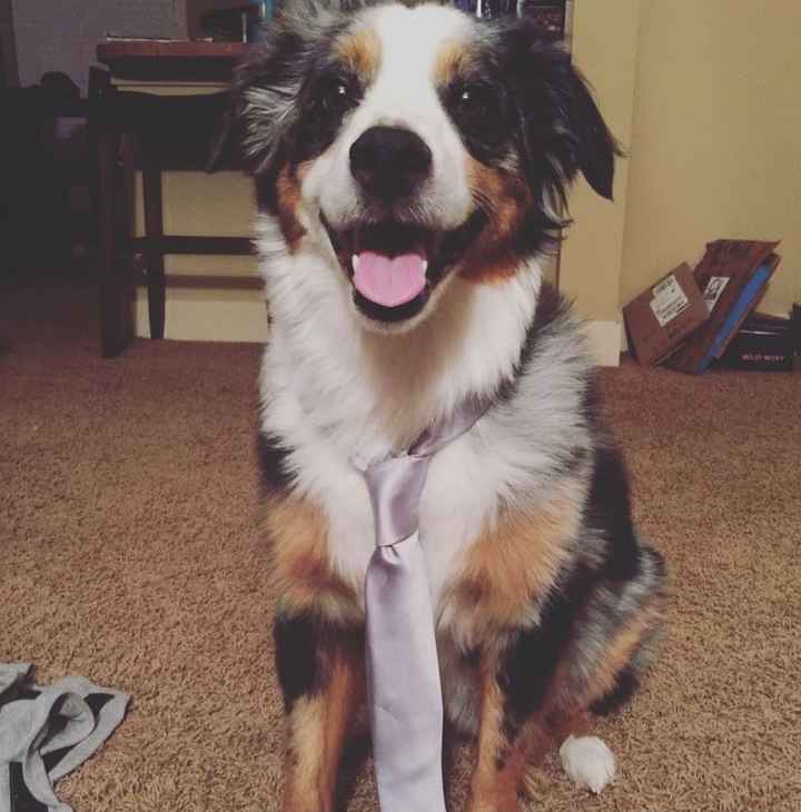 Nwr: my pup