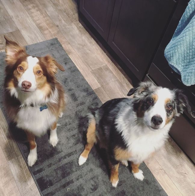 NWR: Puppy Friday!!