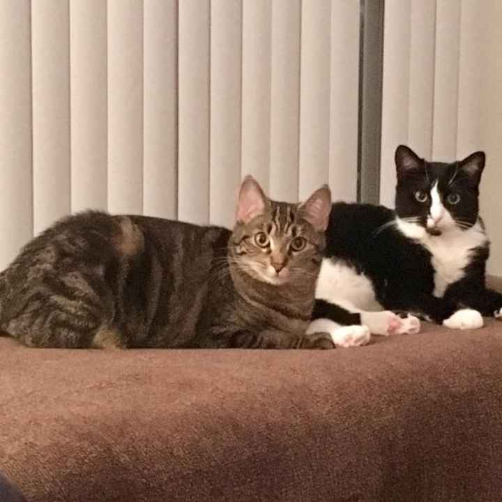 NWR- let me see your fur babies, awake and scared