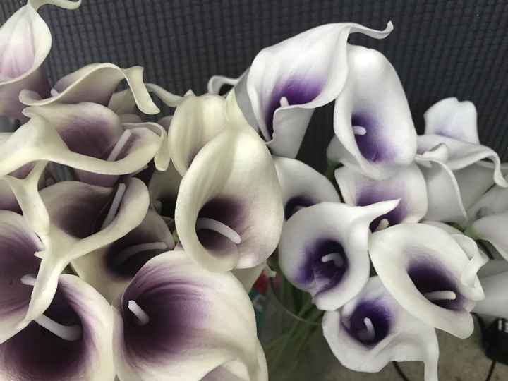  Which flower looks better? - 1