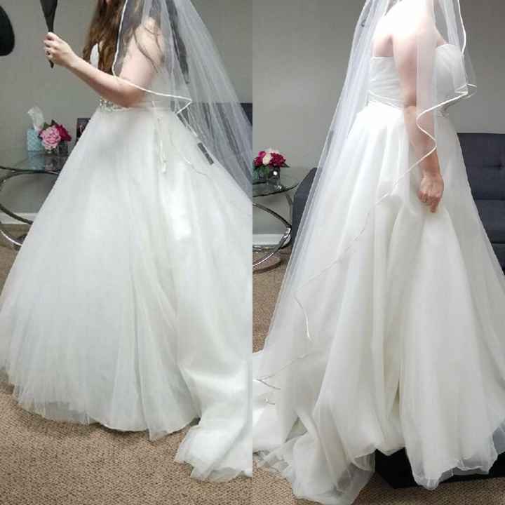 Pro hoop skirt now! - 1